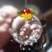 Susie Keith - Facebook