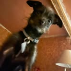 Susan Keefe Kessler - Facebook