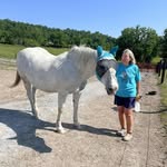 Susan Kessler Sansom - @suzsansom - Instagram