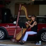 Susan Knapp Thomas - @4pointsharpist - Instagram