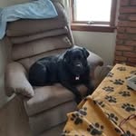 Susie Knapp - @donut1542piseco - Instagram