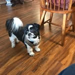 Susie Knapp - @sbknapp1 - Instagram