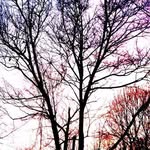 Susan Major - @susan.major.salem - Instagram