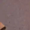 Susie862_ - @susiemarks75 - TikTok