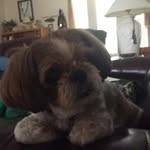 Susie Marshall - @s1304730 - Instagram