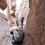 Susan McLeod Owens - @susiebearadventures - Instagram