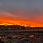 Susie Evans Meadows - @smdoz2020 - Instagram