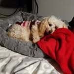 Susie Michael Strunk Hatfield - @susiemichaelstrunk - Instagram
