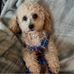 Susan Orr - Facebook