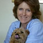 Susie Orr-Ewing - @susieorrewing - Instagram