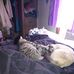 Susie Painter - Facebook