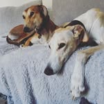 Susie Pool - @susiepool - Instagram