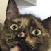 Susie Poole - Facebook