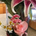 Susie Powell French - @susanqish - Instagram