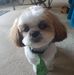 Sue Prentice - Facebook