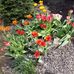 Susan Irons Prentice - Facebook