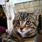 Susan Prentice - @susan.prentice.921 - Instagram