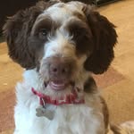 Susan Prentice - @susan.prentice.94 - Instagram