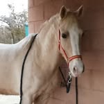Susan Prentice - @susan.bdv - Instagram