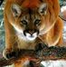 Susan Prentice - Facebook