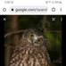 Susie Prentice - Facebook