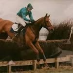 Susie Rees - @rees_equine_dentistry - Instagram