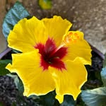 Susan Holley Ricks - @susiericks - Instagram