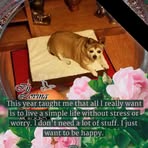 Sue Rowe - Facebook
