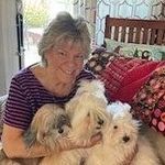Susie Saunders - @sewqsus - Instagram