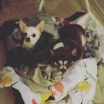 Susie & Simon - @susieandsimon - Instagram