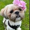 Susie Sims - @soozi0204 - TikTok