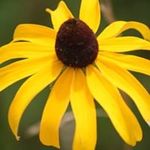 Susie Sims - @susie.sims.395 - Instagram