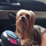Susie Townsend - @yxtown34 - Instagram