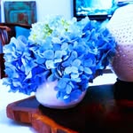 Susan Buck VanDyke - @suvan53 - Instagram