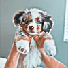 susiewall_ - @susiewall_ - TikTok