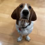 Susie Wallace-Fournier - @wallacesusie - Instagram