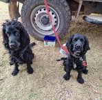 Susie Walsh - Facebook