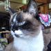 Susie Walsh - Facebook