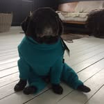 Dowershouse - @susiewarner58 - Instagram