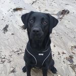 Susie Webb - @susie.webb.142 - Instagram