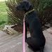 Susie Williamson - Facebook