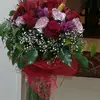Susy Brown - @user92105733 - TikTok