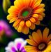 Susy Campos - Facebook