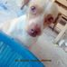 Susy Rivera - Facebook