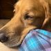Barbara Sutton Ballard - Facebook
