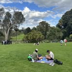 Sutton Cook - Facebook