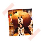 Suwei Wang - @sususuwang - Instagram