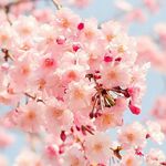 Suzan Davis - @suzandavis27 - Instagram