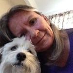 Suzan Davis - @suzan_davis - Instagram