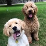 Sue Ellis - @suzanellis - Instagram